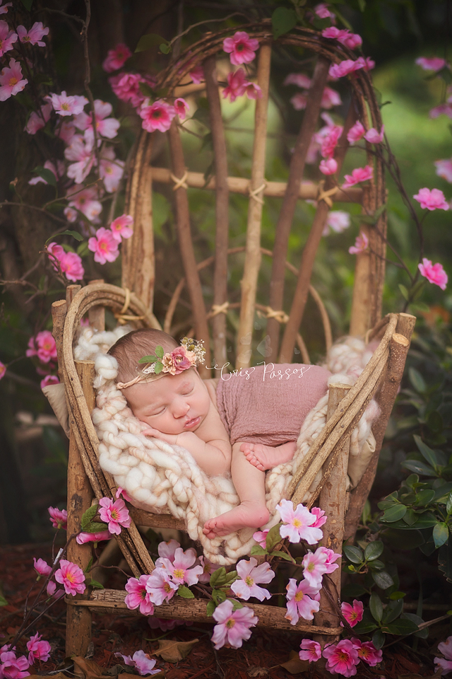South Florida Best newborn photographer