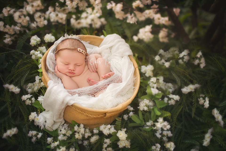 South Florida Newborn Photographer | Boca Raton | Zoey {newborn} » Cris